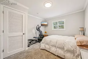 3707 Blue Merion Ct, Colorado Springs, CO 80906 - Photo 28