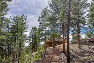 185 Wildcat Creek Dr, Florissant, CO 80816 - Photo 6