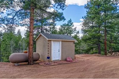 185 Wildcat Creek Drive, Florissant, CO 80816 - Photo 42