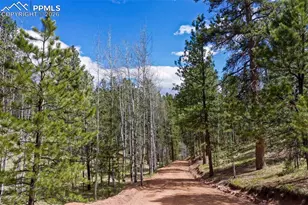 185 Wildcat Creek Dr, Florissant, CO 80816 - Photo 46