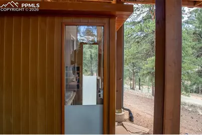 185 Wildcat Creek Drive, Florissant, CO 80816 - Photo 34