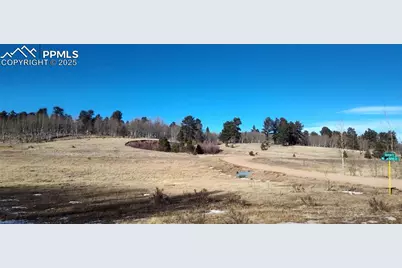 29 Hidden Valley Drive, Florissant, CO 80816 - Photo 4