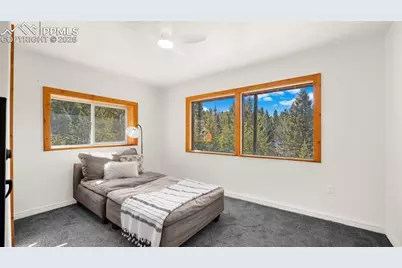 104 Mt Elbert Drive, Florissant, CO 80816 - Photo 30