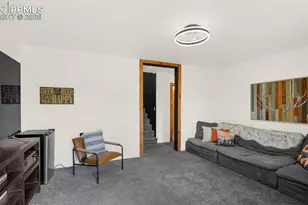 104 Mt Elbert Dr, Florissant, CO 80816 - Photo 28