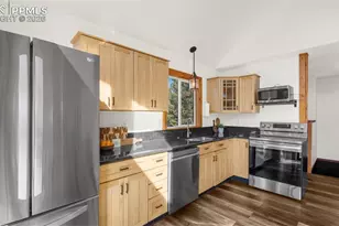 104 Mt Elbert Dr, Florissant, CO 80816 - Photo 10