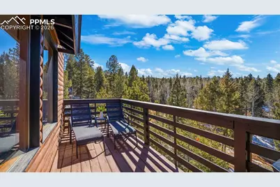 104 Mt Elbert Drive, Florissant, CO 80816 - Photo 22