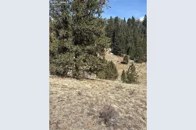 70 Brown Bear Lane, Cripple Creek, CO 80813 - Photo 6