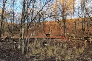 344 Plainview Pl, Manitou Springs, CO 80829 - Photo 40