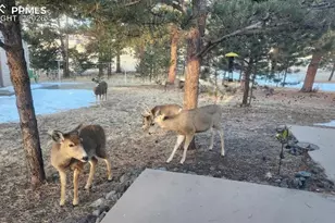 2602 Southpark Rd, Florissant, CO 80816 - Photo 12