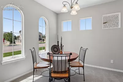 9807 Wolf Lake Drive, Colorado Springs, CO 80924 - Photo 16