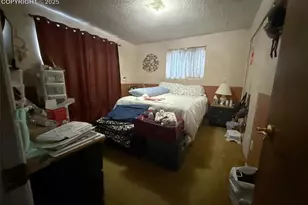 2918 Del Mar Cir, Colorado Springs, CO 80910 - Photo 18