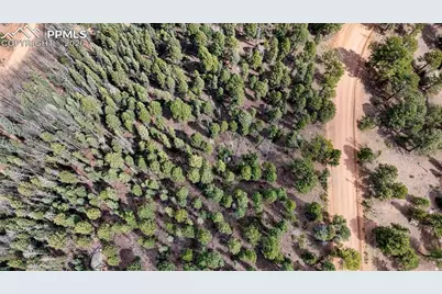 2151 N Mountain Estates Road, Florissant, CO 80816 - Photo 2