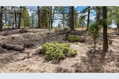 2151 N Mountain Estates Road, Florissant, CO 80816 - Photo 26