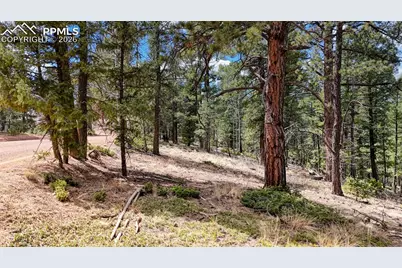 2151 N Mountain Estates Road, Florissant, CO 80816 - Photo 22