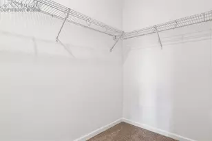 2462 Serviceberry Grv, Colorado Springs, CO 80915 - Photo 18