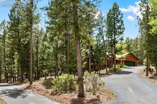 1233 Spruce Ridge Ln, Woodland Park, CO 80863 - Photo 44
