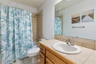 1233 Spruce Ridge Ln, Woodland Park, CO 80863 - Photo 26