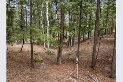 1233 Spruce Ridge Lane, Woodland Park, CO 80863 - Photo 8