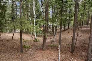 1233 Spruce Ridge Ln, Woodland Park, CO 80863 - Photo 8