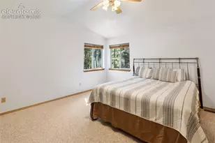 1233 Spruce Ridge Ln, Woodland Park, CO 80863 - Photo 22