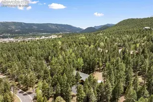 1233 Spruce Ridge Ln, Woodland Park, CO 80863 - Photo 46