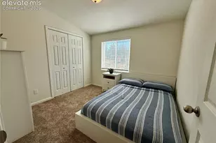 61 Stripling Ln, Divide, CO 80814 - Photo 20