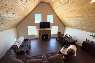 61 Stripling Ln, Divide, CO 80814 - Photo 4