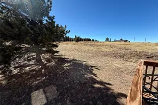 61 Stripling Ln, Divide, CO 80814 - Photo 28