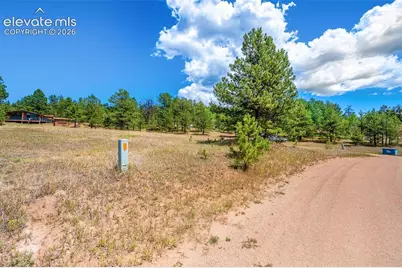 91 Adair Circle, Florissant, CO 80816 - Photo 4