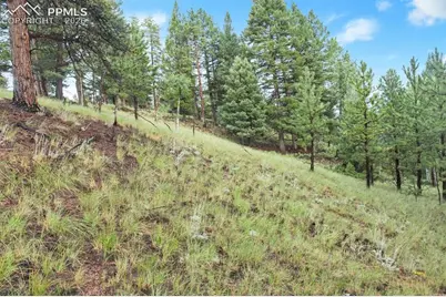131 Lost Lake Circle, Divide, CO 80814 - Photo 14