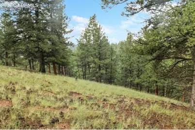 131 Lost Lake Circle, Divide, CO 80814 - Photo 18
