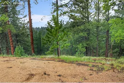 131 Lost Lake Circle, Divide, CO 80814 - Photo 6