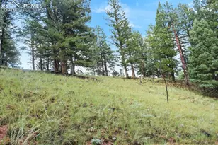 131 Lost Lake Cir, Divide, CO 80814 - Photo 1