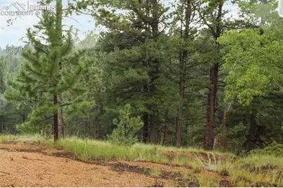 131 Lost Lake Circle, Divide, CO 80814 - Photo 22