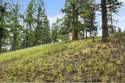 131 Lost Lake Circle, Divide, CO 80814 - Photo 10