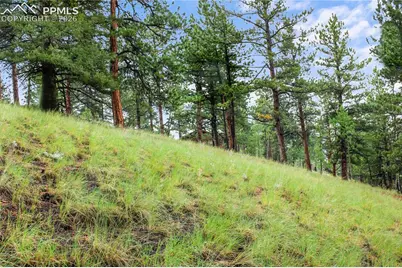 131 Lost Lake Circle, Divide, CO 80814 - Photo 8