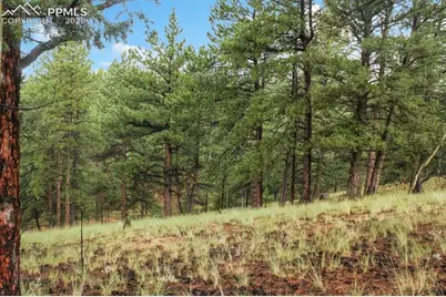 131 Lost Lake Circle, Divide, CO 80814 - Photo 16