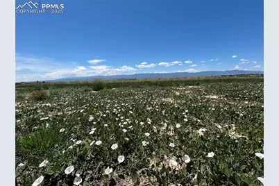 83 Top Rail Trail, Penrose, CO 81240 - Photo 4