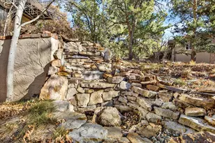 575 Silhouette Way, Monument, CO 80132 - Photo 50