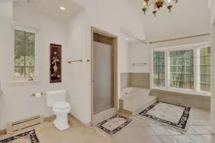 575 Silhouette Way, Monument, CO 80132 - Photo 30