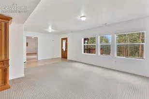 46 Kingston Cir, Florissant, CO 80816 - Photo 28