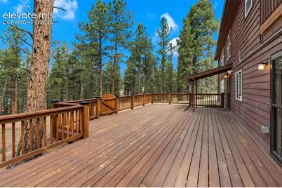 46 Kingston Circle, Florissant, CO 80816 - Photo 38