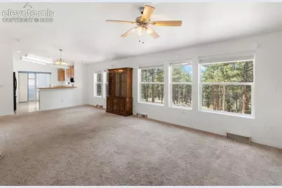 46 Kingston Circle, Florissant, CO 80816 - Photo 6