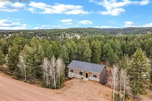 1279 N Mountain Estates Rd, Florissant, CO 80816 - Photo 28