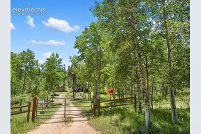 173 Deerview Drive, Florissant, CO 80816 - Photo 24