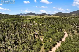 173 Deerview Dr, Florissant, CO 80816 - Photo 20