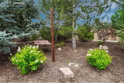 7564 Amberly Drive, Colorado Springs, CO 80923 - Photo 38