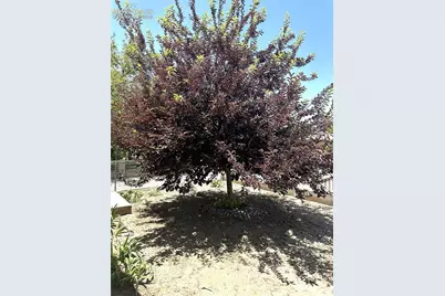 1016 Beulah Avenue, Pueblo, CO 81004 - Photo 20
