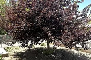 1016 Beulah Ave, Pueblo, CO 81004 - Photo 20
