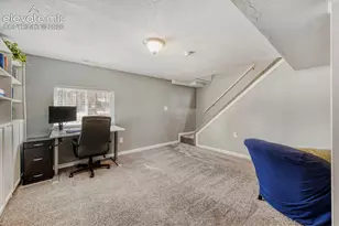 1005 W Browning Ave, Woodland Park, CO 80863 - Photo 22